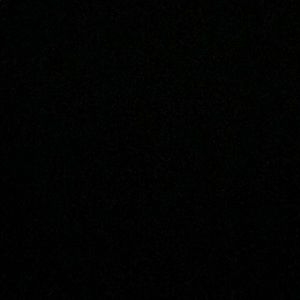 Meet your Posher, Ray